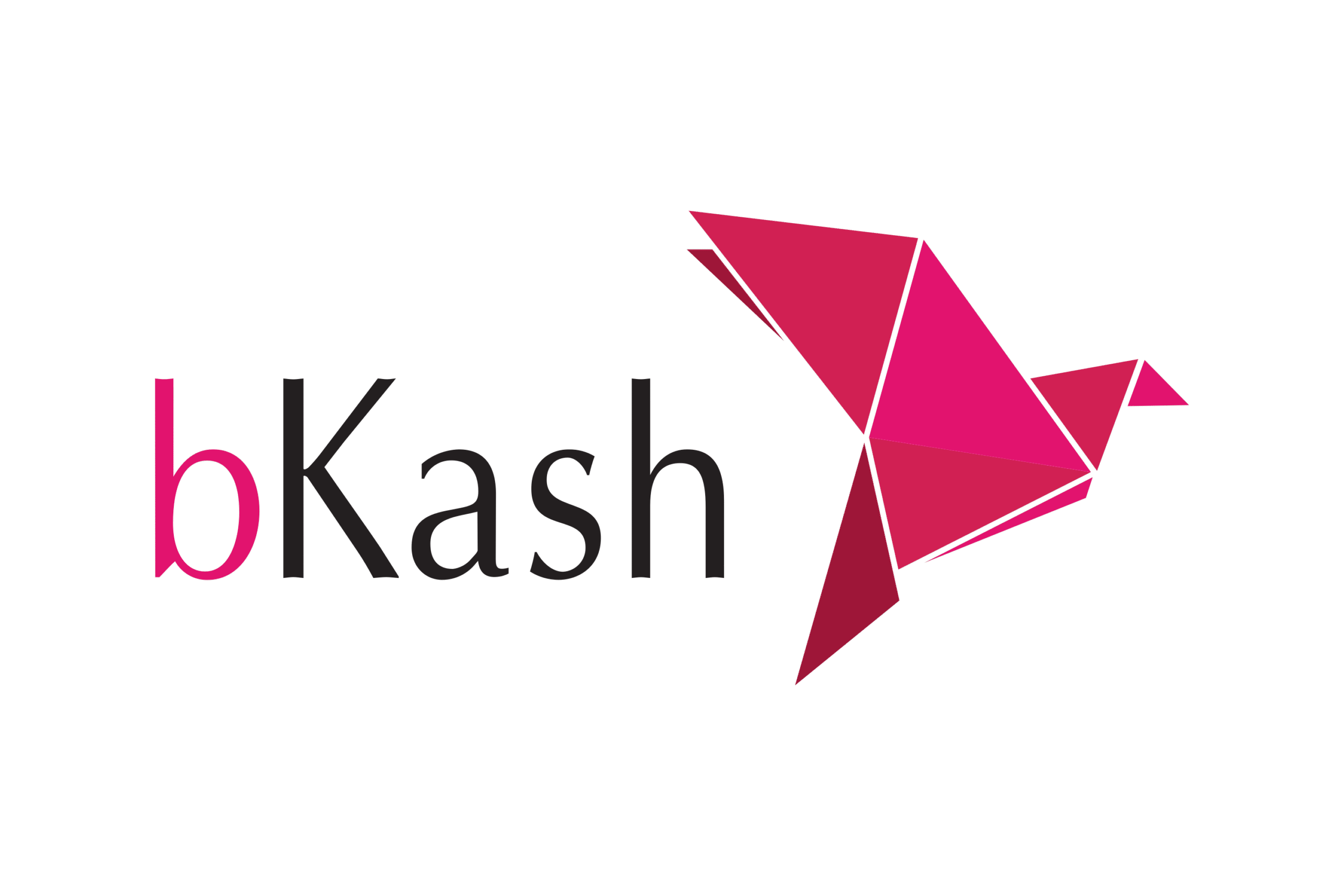bkash bkash logo.wine