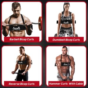 Fitness Trainning Adjustable Gym Arm Blaster Bicep Curl Bomber Professional Weight Lifting arm blaster / bicep blaster pro