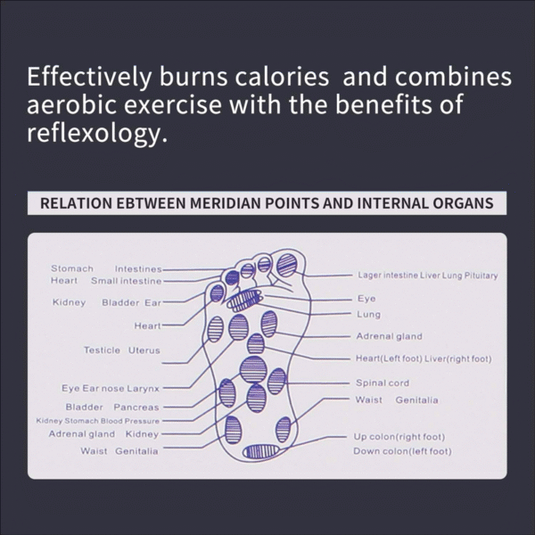 bally twist board figure trimmer | waist twisting disc | home fitness equipment