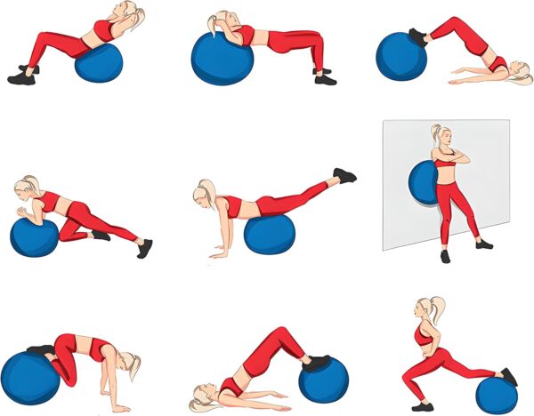 “extra thick heavy duty exercise & yoga ball 65cm – stability, balance & birthing ball for fitness, workouts, pregnancy & physical therapy | includes pump & guide