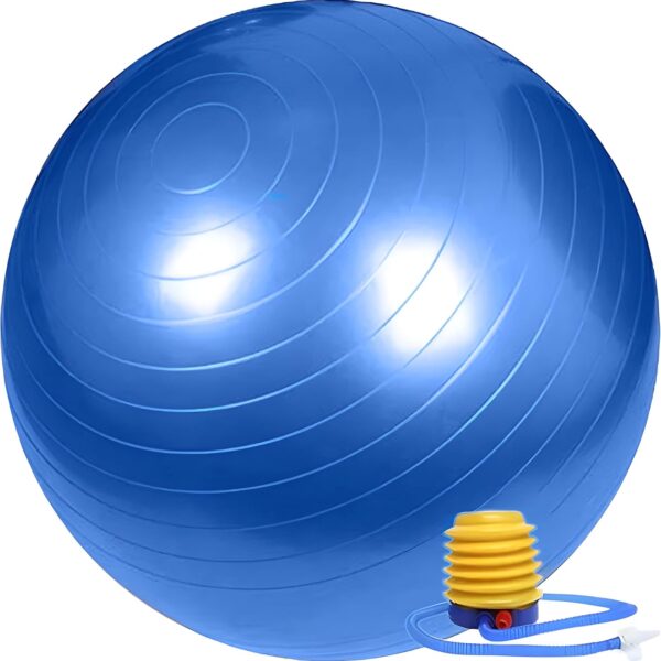 “extra thick heavy duty exercise & yoga ball 65cm – stability, balance & birthing ball for fitness, workouts, pregnancy & physical therapy | includes pump & guide
