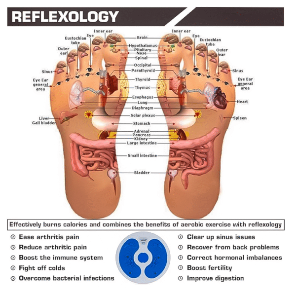 bally twist board figure trimmer | waist twisting disc | home fitness equipment