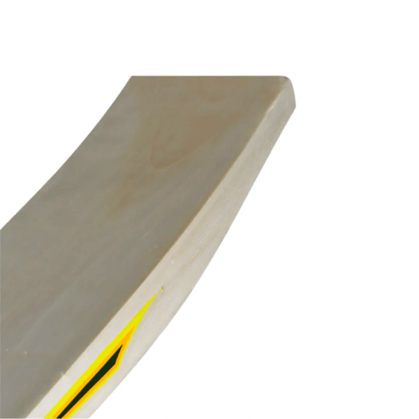 original ca vision 10000 tape ball cricket bat (made in pakistan) – lightweight & durable