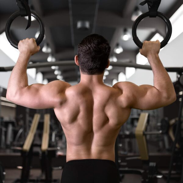 black mountain professional olympic gymnastics rings 1200lbs – adjustable home gym rings for calisthenics & strength training in bangladesh