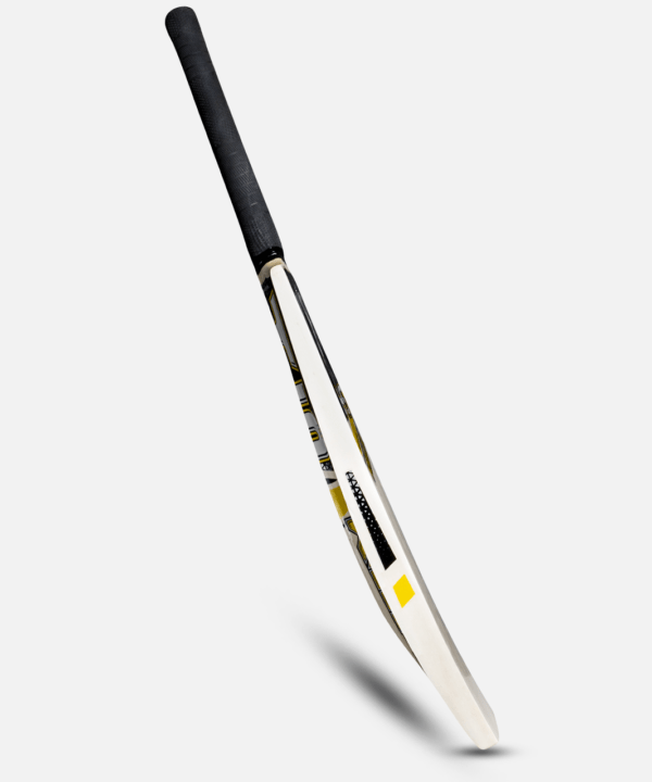 hs killer cricket starter combo kit – 1 hs killer bat, 6 stumps & 1 tape tennis ball for street & backyard cricket