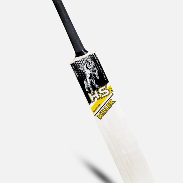 hs killer cricket starter combo kit – 1 hs killer bat, 6 stumps & 1 tape tennis ball for street & backyard cricket