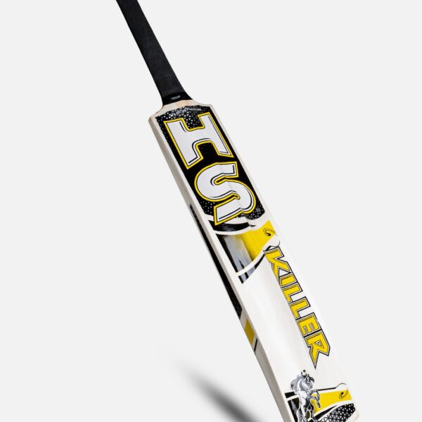 hs killer cricket starter combo kit – 1 hs killer bat, 6 stumps & 1 tape tennis ball for street & backyard cricket