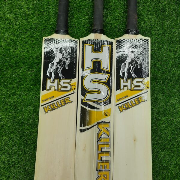 hs killer cricket starter combo kit – 1 hs killer bat, 6 stumps & 1 tape tennis ball for street & backyard cricket