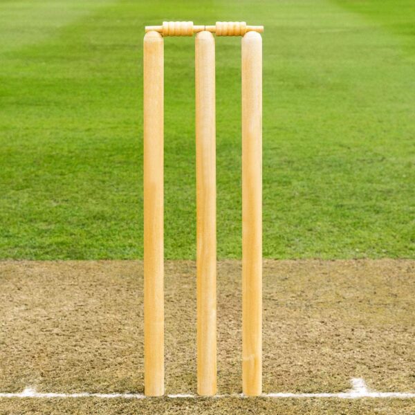 hs killer cricket starter combo kit – 1 hs killer bat, 6 stumps & 1 tape tennis ball for street & backyard cricket