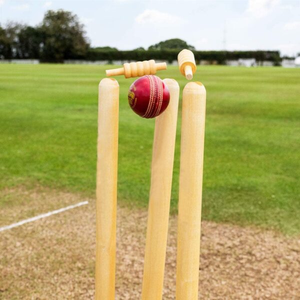 hs killer cricket starter combo kit – 1 hs killer bat, 6 stumps & 1 tape tennis ball for street & backyard cricket